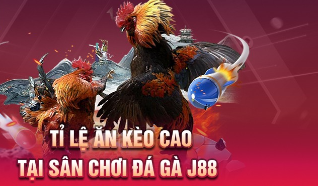 Luật chơi đá gà J88